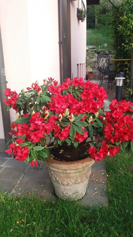Villa Campo Dei Fiori Casciago Екстер'єр фото